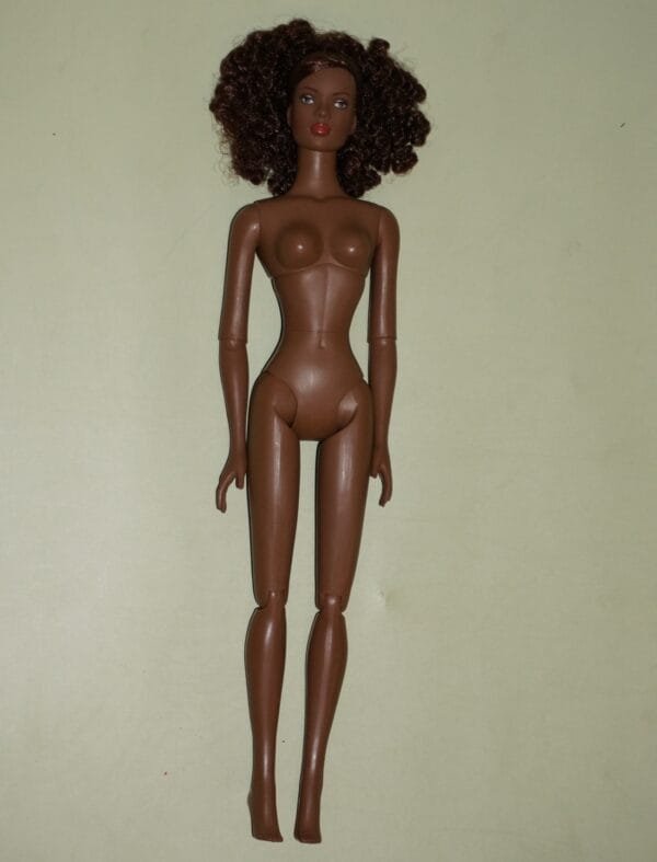 Esme Tyler Wentworth "Amber Glow" Tonner doll - Image 2